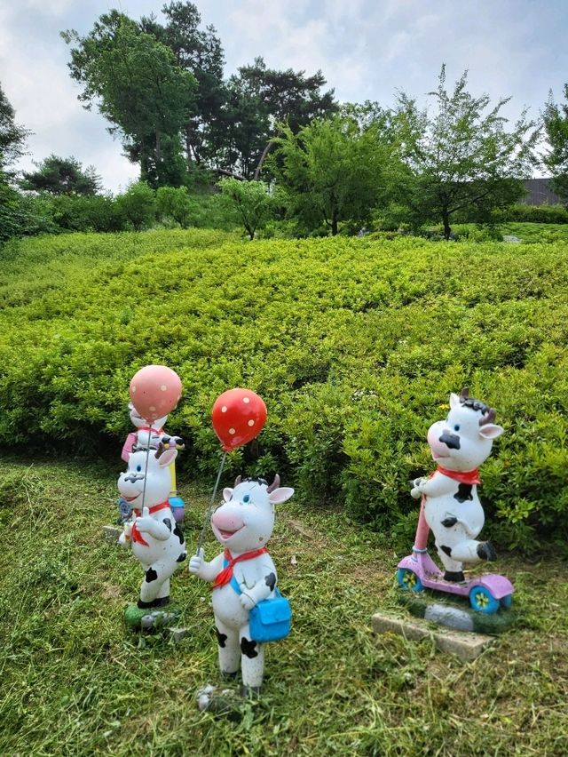 유럽수국 만개한 무료입장 동화마을
