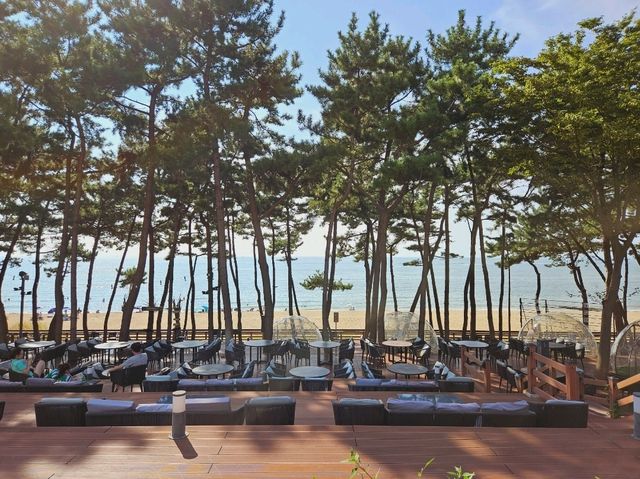 A nice vacation at Island Resom Hotel