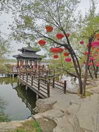 集當代書法大全藝術風采：中國翰園
