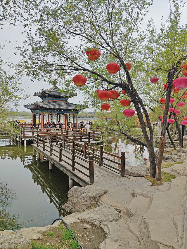 集當代書法大全藝術風采：中國翰園