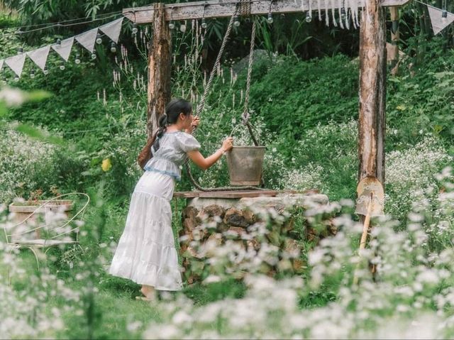 Mori Natural Farm โมริ เนเชอรัลฟาร์ม เชียงใหม่ 