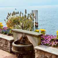 Blossoming Beauty in Montreux: A Lakeside Symphony