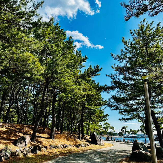 逗子海岸海水浴場：藍海沙灘