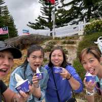 A Scenic & Unique Experience at Desa Dairy Farm Kundasang