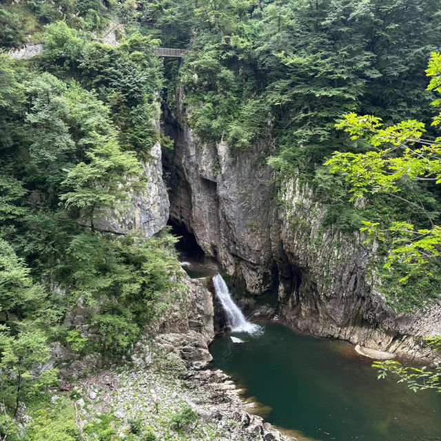 【8月好去處】仙湖洞：天然溶洞探險，別具風味！