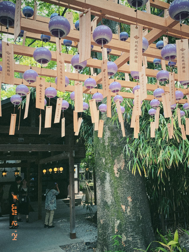 川越に来たら立ち寄りたい氷川神社！
