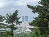 제주시 한라수목원 근처 민오름 정상...