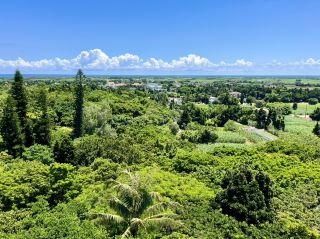 [Okinawa, Tarama Island] A village where the original Okinawan scenery remains🌿