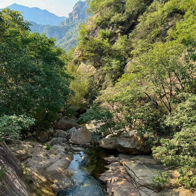 【8月好去處】大王花保護區：美麗森林