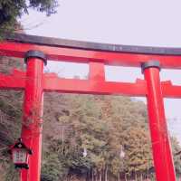 【太皷谷稲成神社】幻想的な⛩️