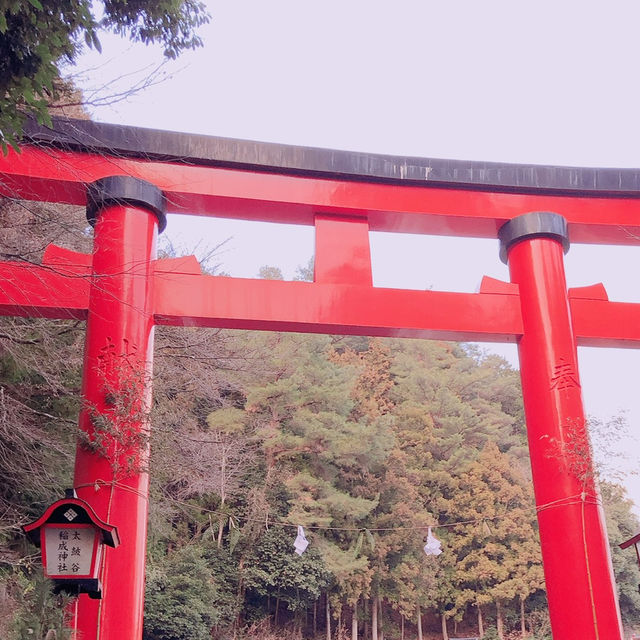 【太皷谷稲成神社】幻想的な⛩️