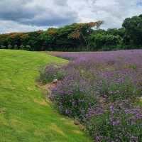 Khao Yai's Hidden Gems