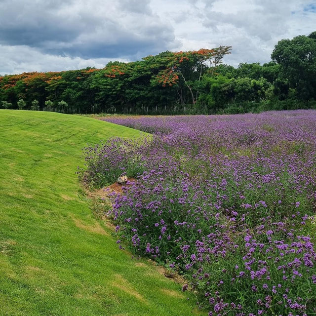 Khao Yai's Hidden Gems
