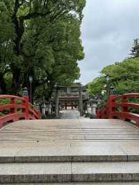 【福岡観光】124年ぶりの大改修✨️森の仮殿🌳