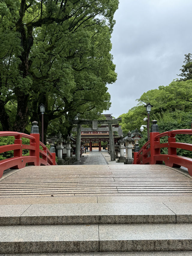 【福岡観光】124年ぶりの大改修✨️森の仮殿🌳