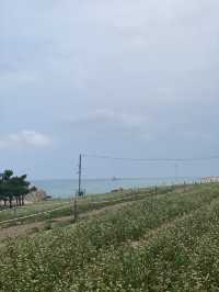 No perfect summer without the sea