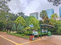 居然在九龍公園發現天空之鏡