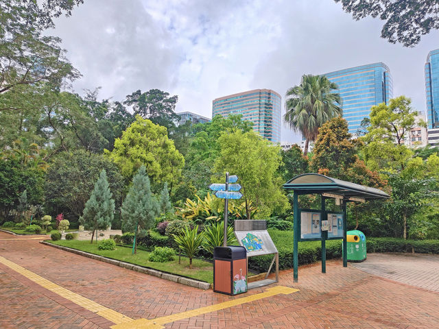 居然在九龍公園發現天空之鏡