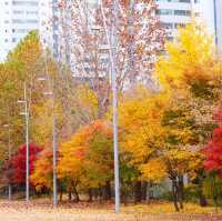 Ewha Womans University | Seoul | Korea