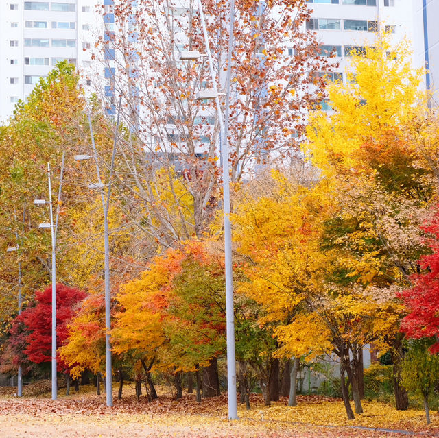 Ewha Womans University | Seoul | Korea