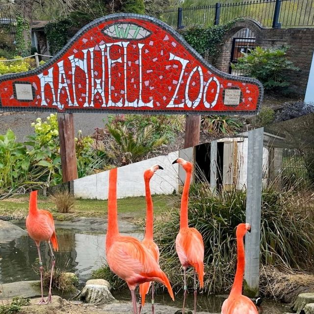 可愛動物園