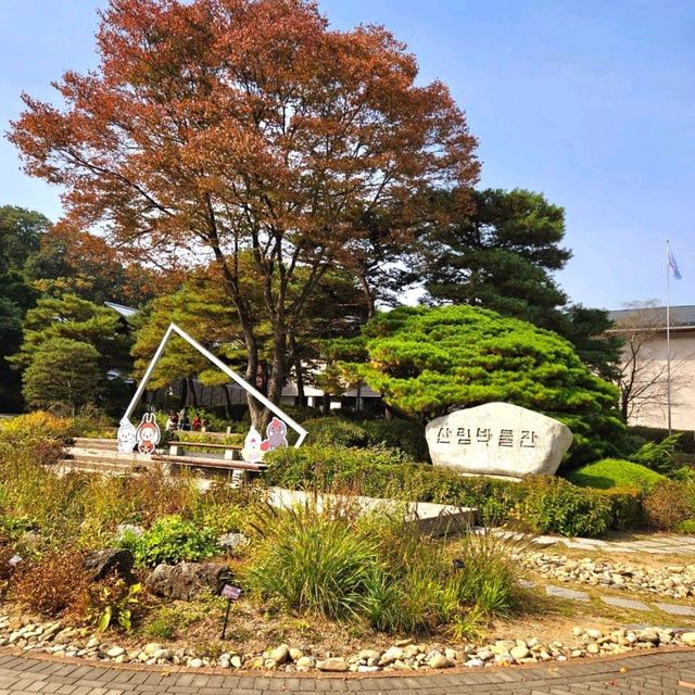 가을에 더이쁜 산림박물관