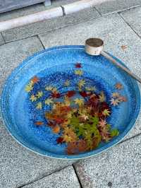 【京都紅葉】とても綺麗な花手水がたくさんあるお寺！