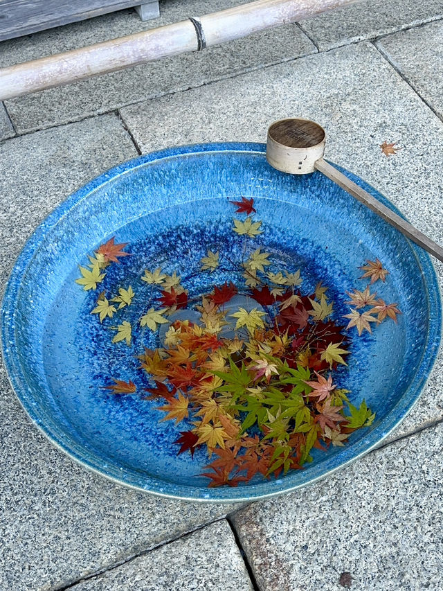 【京都紅葉】とても綺麗な花手水がたくさんあるお寺！