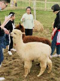 Natural Yangtianhu Scenic Spot@Chenzhou, Hunan