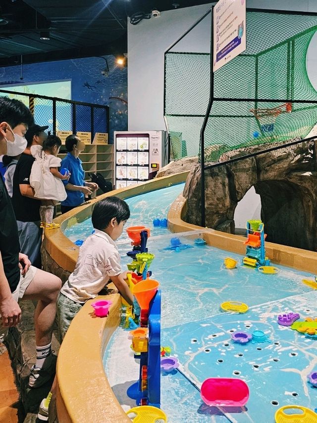 대구 도심지에서 물고기 데이트 할 수 있는 대구 아쿠아리움 대구 도심지에서 물고기 데이트 할 수 있는 대구 아쿠아리움