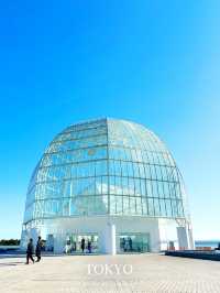 東京だけどどこか遠くへきたみたいな雰囲気の水族館【東京/葛西臨海公園】