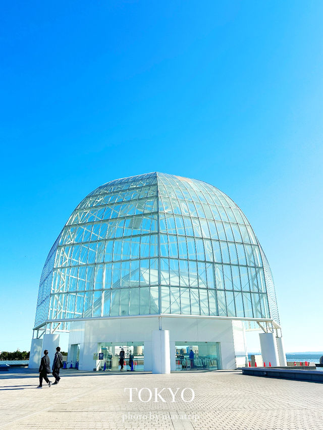 東京だけどどこか遠くへきたみたいな雰囲気の水族館【東京/葛西臨海公園】