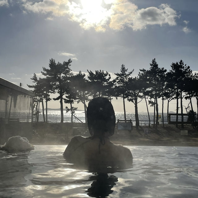 신안 너 좀 달라보인다?