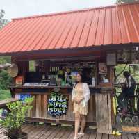 มินิบาร์ โรงนา คาเฟ่ สมุย