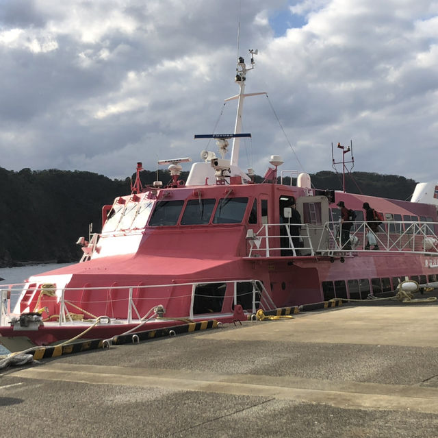 【伊豆大島】東京から2時間で島へtrip‼︎