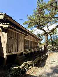 【長崎県】龍神伝説と海中鳥居が神秘的な神社