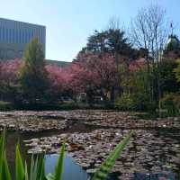 北海道大學植物園