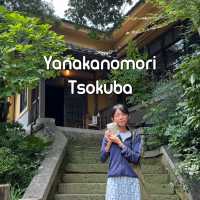 ชมบ้านญี่ปุ่นโบราณที่ Yanakanomori