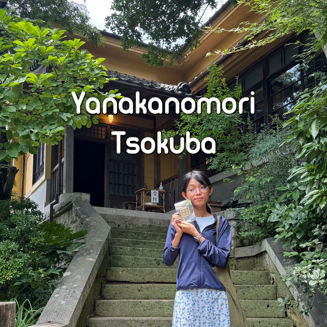 ชมบ้านญี่ปุ่นโบราณที่ Yanakanomori