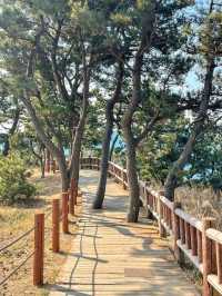 바다길 따라 가볍게 산책하기 좋은 곳