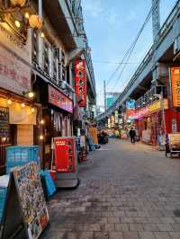【上野アメ横商店街:東京都台東区】活気がすごいアメ横商店街👍️