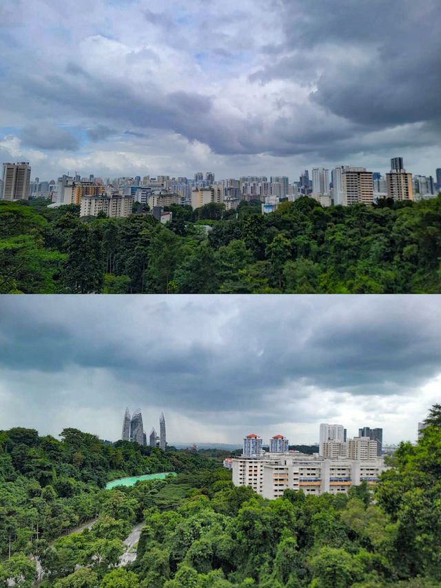 Discovering Telok Blangah Hill Park: A Tranquil Escape in Singapore 