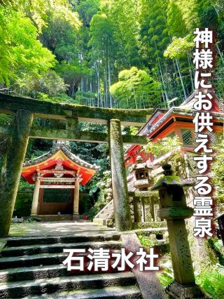 【京都府】獻給神明的靈泉