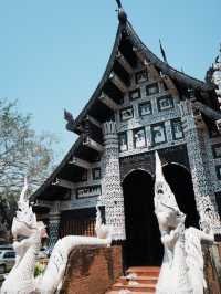 【チェンマイ】隠れた名所「ワット ロークモーリー」⛩️✨