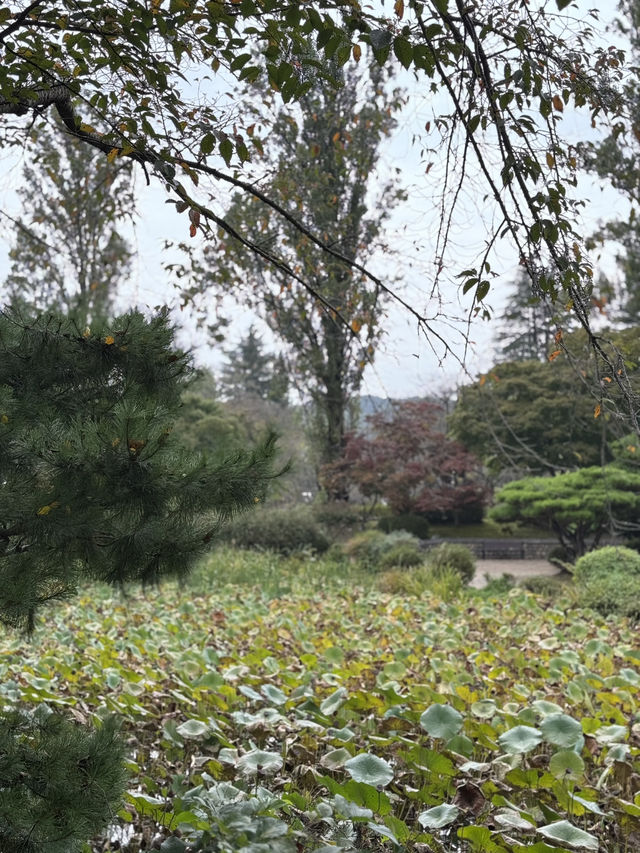 운치있는 경주의 숨은 보물 보문정