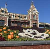 香港ディズニーランドのハロウィン
