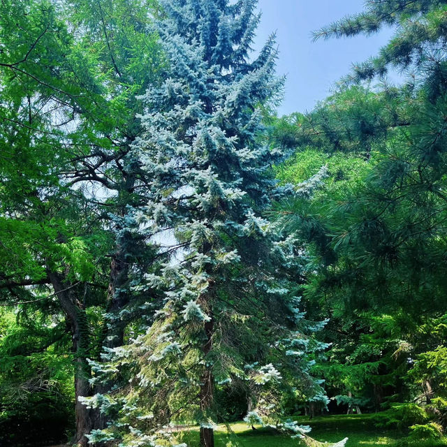 家園植物園：綠意自然樂園 🌿🌼