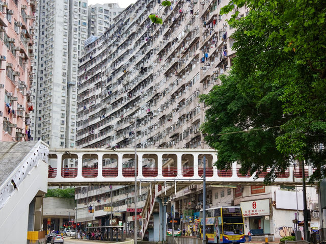 【香港】暮らしが根付く迫力マンション🏢 【香港】暮らしが根付く迫力マンション🏢
