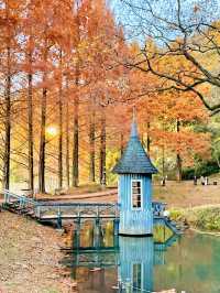 【人気の紅葉映えスポット】子供も思いっきり楽しめる公園