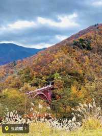 【奥秩父】絶景紅葉🍁 穴場スポット